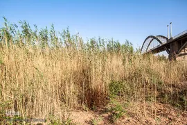 سراب کارون