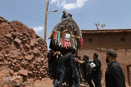 نخل‌گردانی روز عاشورا در روستای ابیانه