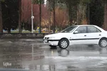 بارش باران در بیرجند