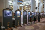 نقش حبیب‎‎
