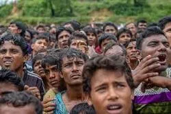 L'OCI doit aider à résoudre la crise Rohingya (cheikh Hasina)