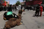 شبیه‌خوانی روز عاشورا در اهر