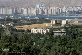 پارک جنگلی چیتگر