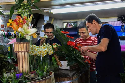 به بهانه روز مادر/عکاس: پریسا بهزادی
