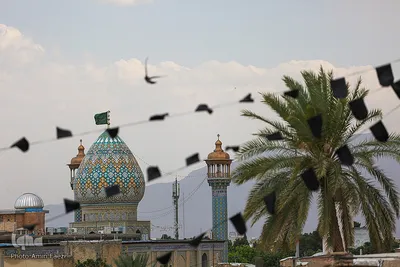 توزیع بسته معیشتی در مسجد نصیرالملک شیراز
