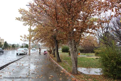 باران در پاییزی در بیرجند