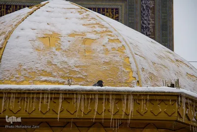 بارش برف در حرم امام رضا (ع)