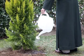 کاشت نهال در هفته منابع طبیعی