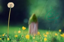 Ranar 15 Ga Watan Sha'aban Ranar Haihuwar Imamul Mahdi (AS)