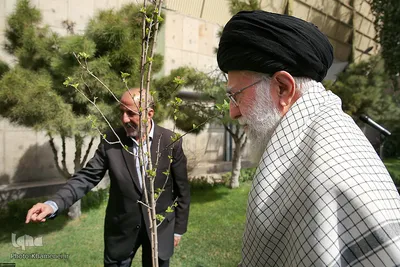 کاشت نهال توسط مقام معظم رهبری در هفته منابع طبیعی

