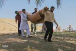 خدمت جهادی در مناطق محروم سیستان و بلوچستان