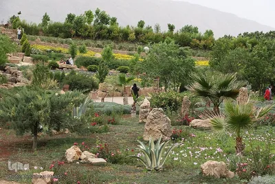 اردیبهشت در بهشت شیراز