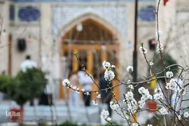 افراشته فیروزه‌ای؛ مسجد معیرالممالک به قدمت تاریخ تهران