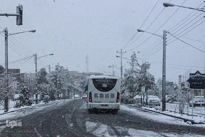 برف در خیابان‌های بیرجند