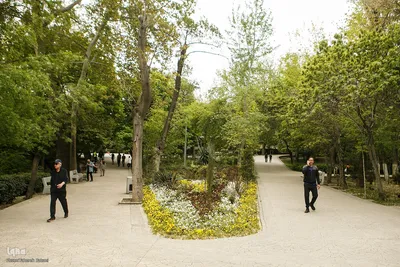 طبیعت بهاری تهران