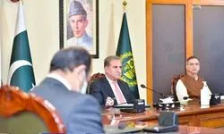 سعودی عرب میں کورونا سے 30 پاکستانی جاں بحق ہوئے،سفیر راجہ علی