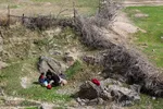 روز طبیعت در مشهد
