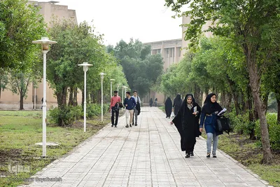 زندگی در دانشگاه