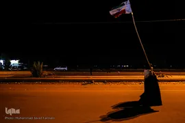 راهپیمایی اربعین مسیر نجف، کربلا / ۲