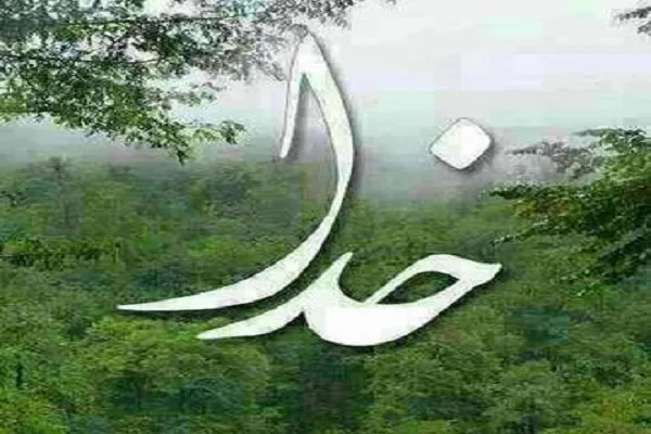 তোমরা আল্লাহকে ভয় করো