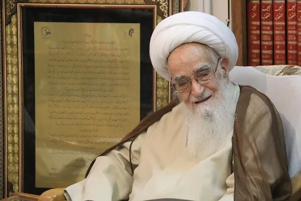 عمار حکیم: آیت‌الله صافی رکنی از ارکان دانش، هدایت و فقاهت بودند