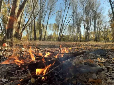 رنگ آمیزی طبیعت در مناطق روستایی شهرستان اهری