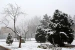 برف، رحمت الهی در سمنان