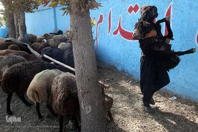 عید قربان در آسایشگاه سالمندان و معلولین  قدس