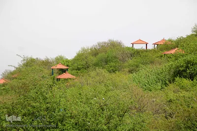 طبیعت بهاری شهرستان اهر در یک نگاه