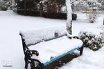 بارش نخستین برف زمستانی در ارومیه‎‎