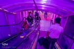 بی تفاوتی به کرونا
