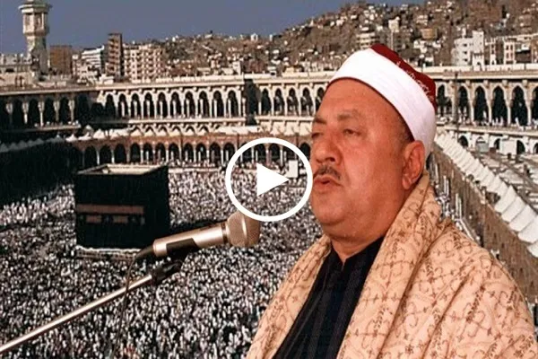 شاهد...تلاوة محفلية لسورة المائدة بصوت 