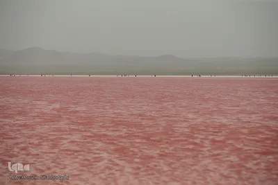 دریاچه حوض سلطان به رنگ سرخ