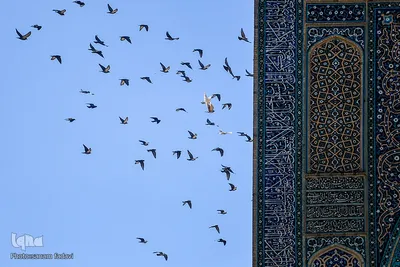 افراشته فیروزه‌ای؛ مسجد جامع اصفهان
