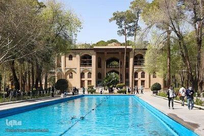 نرگس صمدزاده