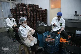 جهاد آبمیوه گیری موکب «المهدی» هیأت رزمندگان اسلام شمیرانات برای یاری کادر درمانی و شفای عاجل بیماران کرونایی