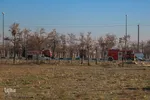 مانور ایمنی در برابر زلزله - اراک/عکاس:طاها نظیری