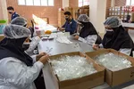 افتتاح ۶ واحد تولیدی دانش بنیان در منطقه ویژه اقتصادی پیام