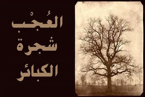 مَنْ تَرَكَ الْعُجْبَ وَالتَّوانِيَ لَمْ يَنْزِلْ بِهِ مَكْرُوهٌ