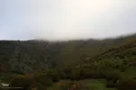 طبیعت پاییزی منطقه جنگلی تنباکولوی هوراند