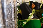 تجدید میثاق خدام امام رضا با حضرت شاهچراغ (ع)
