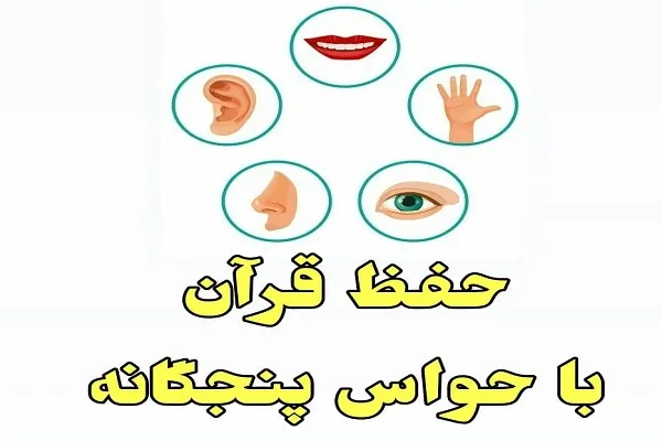 نقش حواس پنجگانه در حفظ قرآن