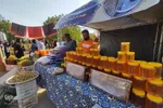 جشنواره شیره پزی ملایر