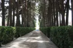 با قدم زدن در این باغ به عمق تاریخ سفر ‌کنید