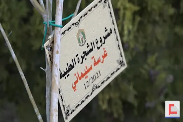 کاشت 12 هزار اصله نهال به نام شهید سلیمانی در جنوب لبنان