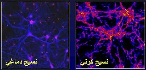 ساختار بافت‌گونه جهان/ نگاهی علمی به سوگندی زیبا در کلام وحی+فیلم