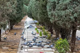 زیارت اهل قبور در آخرین پنجشنبه سال