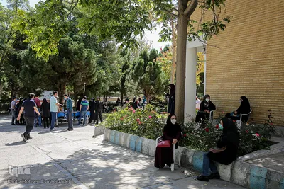 واکسیناسیون دانشجوین دانشگاه آزاد و فردوسی مشهد
