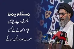 مسئلہ یمن پر یکطرفہ رویے دنیا میں قیام امن کےلئے کسی صورت سود مند نہیں-ساجد نقوی