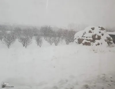 تداوم بارش برف و برودت هوا در شهرستان اهر